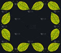 叶子,一个物体,绿色,黄色,背景,黑色,艺术,水平画幅,枝繁叶茂,无人