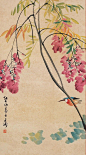 张大壮花鸟画作品欣赏（六）