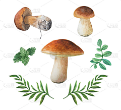 不爱吃蛋挞采集到蘑菇花环