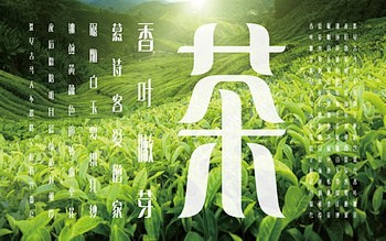 「叶长倩体」——茶-古田路9号-品牌创意...