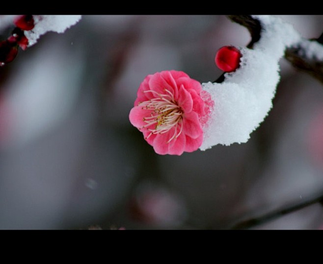 冷寒中，你站在霜天雪地的岸口，随着季节的...