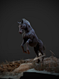 Horse Study (Re-done), Tyler Smith : 2nd pass on a horse study with more TLC put in