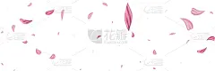 玫瑰,背景,粉色,花瓣,淡雅,纹理,尼斯,贺卡,水彩画颜料,背景分离