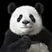 玉兒