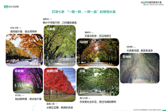 格格巫👻采集到专项