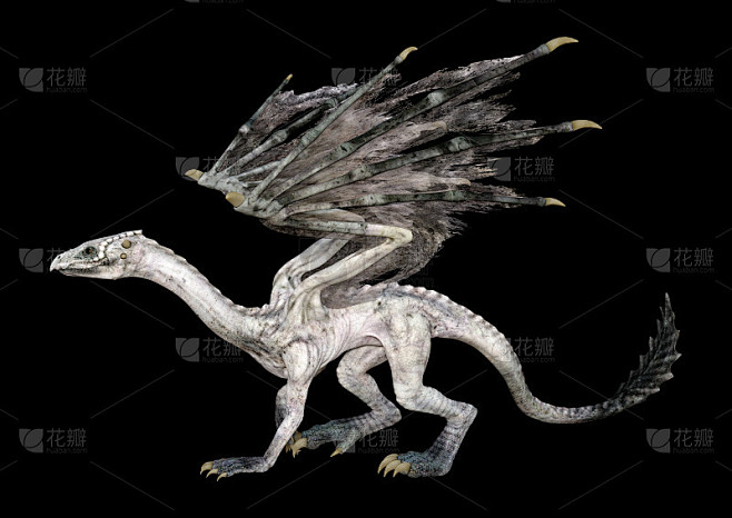 3D插图幻想龙在黑色