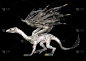 3D插图幻想龙在黑色
