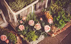 唯美意境静物桌面壁纸 1920x1200