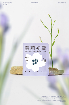 猫123584采集到BZ-社群海报