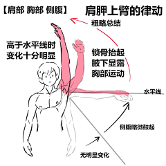 卡不动采集到身体结构