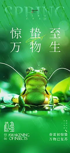 二十四节气惊蛰海报