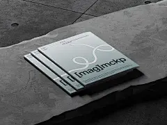 16款高级杂志画册书籍设计展示PS样机效果图模板素材 Bode, Magazine Mockups – 图渲拉-高品质设计素材分享平台
