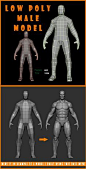 Low Poly Male Model #3docean