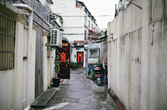 anluyan采集到棉花