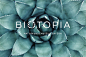 biotopia 品牌形象设计-古田路9号