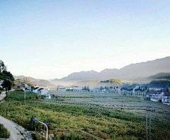 水明月采集到我可爱的故乡