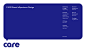 CARE Brand eXperience Design