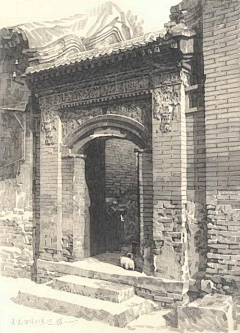 西柚n-采集到设计