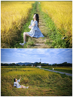 新视觉平面设计采集到草地稻田花海树林拍照姿势