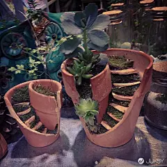 破损的花盆创意改造手工，打造新奇趣味盆栽盆景