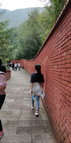 淡淡丫采集到走过路过错过