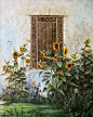 花窗、花窗、美图美画、Alireza Sadaghdar