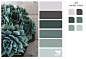 succulent tones#多肉植物的色彩##520设计网# #UI设计# #APP设计# #平面设计#  #网页设计# http://www.sj520.cn