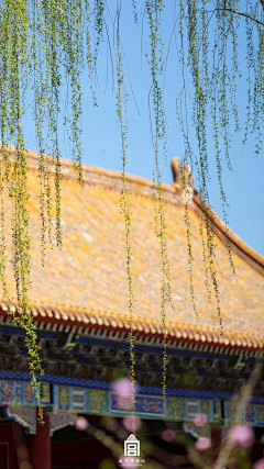 临溪有卧鹿ξ采集到金碧辉煌 紫禁城