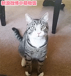 束发采集到life