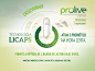 saúde Health healthcare Pharma FARMA gastro Lactobacillus Flora Intestino intestine Disease