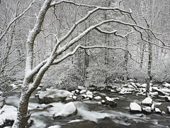 紫色の雪采集到美景