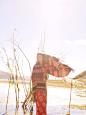 张辛苑西藏拍素颜写真 高海拔编织彩色梦幻_星大片_明星