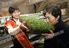 有机蔬菜专卖店的搜索结果_百度图片搜索