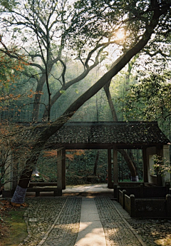 鱼久蛮采集到C-场景 庭院