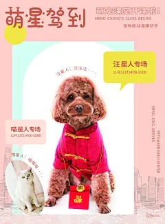 宠物商店海报寄养兽医狗猫粮食柯基美容