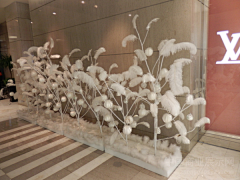 Wcarrot采集到场景