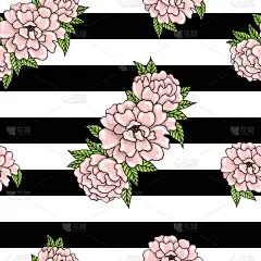 牡丹,粉色,叶子,花纹,白色,条纹,图像,插花术,花朵,壁纸