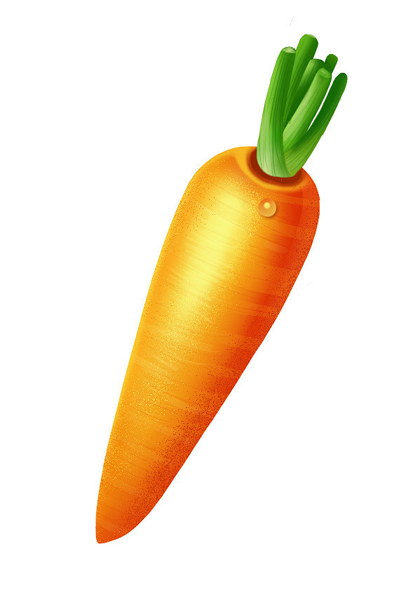 色彩胡萝卜色彩材质