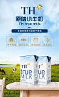 【TH110ml*4】越南进口TH true milk 原味甜牛奶110ml*4盒 进口小牛奶学生营养早餐迷你盒【行情 报价 价格 评测】-京东