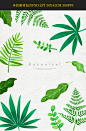 手绘水彩插画绿色热带植物花卉芭蕉叶棕榈叶仙人掌PSD设计素材-淘宝网