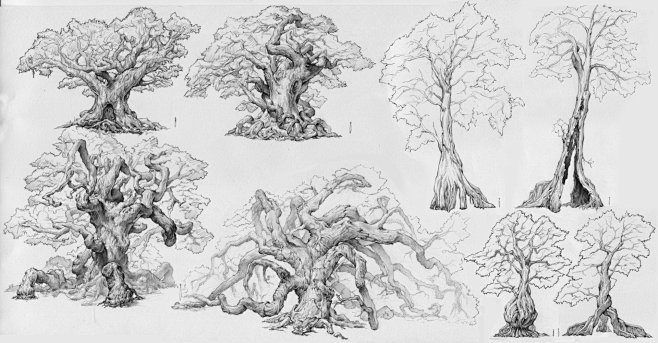 tree sketch, KKS ~ :...