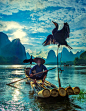 A Fisherman & Cormorants: Guilin, China. ...