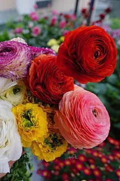 二夏啊二夏的微博_微博