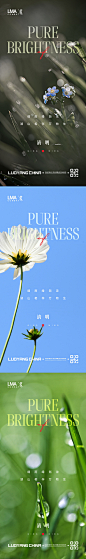 地产清明节节日节气刷屏系列-志设网-zs9.com