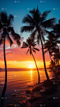 背景通用落日椰子树海边沙滩光影背景图片素材