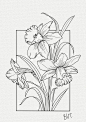 (73) Pinterest