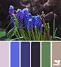 Design Seeds® | find your palette