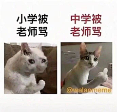 Dominer丶采集到搞笑