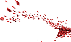 西西莲子采集到漂点