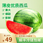 夏上新食品西瓜直通车主图